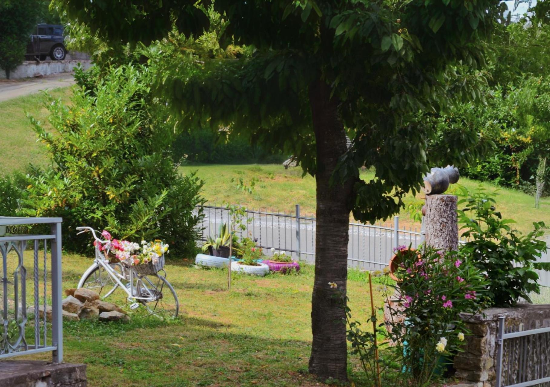 Wildwood Cottage 세라마쪼니 외부 사진